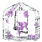 Pastel bird cage with purple - Бесплатный анимированный гифка