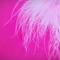 Background Pink - kostenlos png Animiertes GIF
