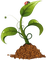 Kaz_Creations Leaves Leafs Crop - 免费PNG 动画 GIF