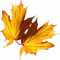 Kaz_Creations  Autumn Deco - gratis png animeret GIF