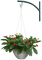Kaz_Creations Deco Flowers Flower Colours Plant Hanging - безплатен png анимиран GIF
