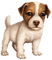 Kaz_Creations Dogs Dog Pup 🐶 - zdarma png animovaný GIF