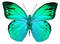 papillon bleu.Cheyenne63 - PNG gratuit GIF animé