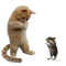 animals nancysaey - безплатен png анимиран GIF
