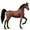 cheval - бесплатно png анимированный гифка