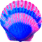 Seashell.Blue.Pink - zdarma png animovaný GIF