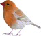 tube oiseau - PNG gratuit GIF animé
