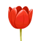 Tulipano rosso - nemokama png animuotas GIF
