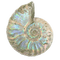 Chrome shell - Free PNG Animated GIF
