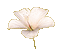 VanessaValo _crea = white flower glitter - GIF animé gratuit GIF animé