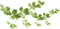 deco-leaf-löv-green - PNG gratuit GIF animé