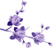 flowers purple - PNG gratuit GIF animé