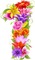 image encre numéro 1 fleurs bon anniversaire edited by me - png gratis GIF animasi