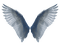 deco fantasy wings png tube kikkapink - bezmaksas png animēts GIF
