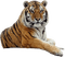 Kaz_Creations Tiger - δωρεάν png κινούμενο GIF