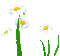 FLOWERS - GIF animate gratis GIF animata