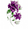 fleur violette.Cheyenne63 - безплатен png анимиран GIF