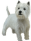 Kaz_Creations Cute Cartoon Dog Pup - zadarmo png animovaný GIF