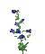 Blue.Flowers.Fleurs sauvages.Gif.Victoriabea - Ücretsiz animasyonlu GIF animasyonlu GIF