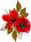 soave deco flowers poppy red green
