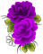 fleur violette.Cheyenne63 - zdarma png animovaný GIF