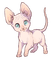 Sphynx Cat - бесплатно png анимированный гифка