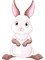 rabbit - PNG gratuit GIF animé