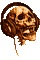 skull - 無料のアニメーション GIF アニメーションGIF