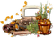 autumn landscape bp - PNG gratuit GIF animé
