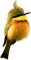 Bird - Free PNG Animated GIF