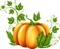 pumpkin by nataliplus