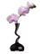 Kaz_Creations Deco Flowers Vase - PNG gratuit GIF animé