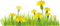 Kaz_Creations Flowers-Fleurs - ilmainen png animoitu GIF
