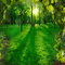 spring forest meadow animated bg - Darmowy animowany GIF animowany gif