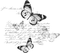 Motyle napis - Free PNG Animated GIF