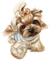 dog chien 🐶 - gratis png geanimeerde GIF
