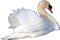 birds anastasia - nemokama png animuotas GIF
