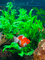 рыбки - Bezmaksas animēts GIF animēts GIF