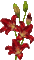 flowers gif katrin - 無料のアニメーション GIF アニメーションGIF