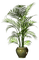 Planta - Rubicat - GIF animé gratuit