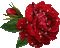 dulcineia8 rosas - Bezmaksas animēts GIF animēts GIF