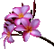flower plant - GIF animado grátis Gif Animado