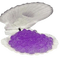 Seashell w/ Purple Orbeez - Free animated GIF