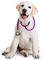 perro by EstrellaCristal - png gratuito GIF animata