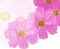 pink flowers Bb2 - PNG gratuit GIF animé