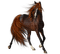 Horse 2 - png gratuito GIF animata
