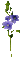Flores moradas - Gratis geanimeerde GIF geanimeerde GIF