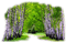 bosque - kostenlos png Animiertes GIF