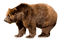 ours - kostenlos png Animiertes GIF
