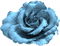 Blue.Flower.Rose.Fleur.Deco.Victoriabea - безплатен png анимиран GIF
